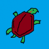turtle957